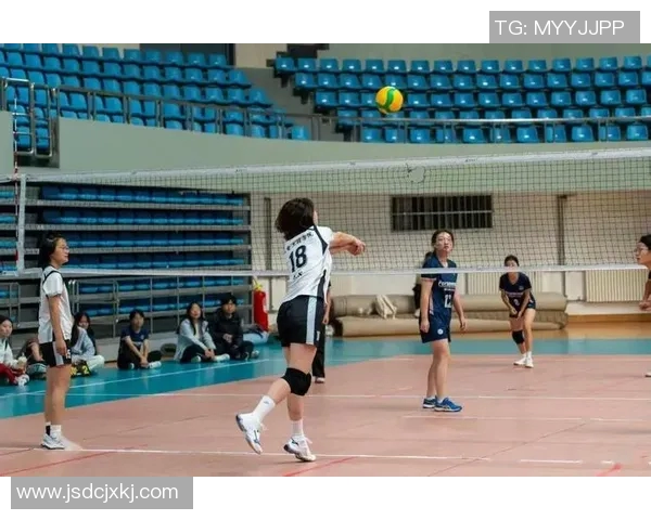 排球盛宴:深入探索杭州排球队的训练与比赛节奏