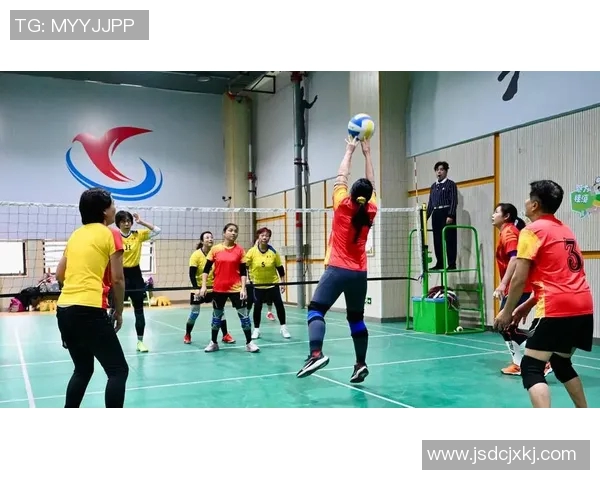 成都排球队比赛经验的创新与变革引发热议