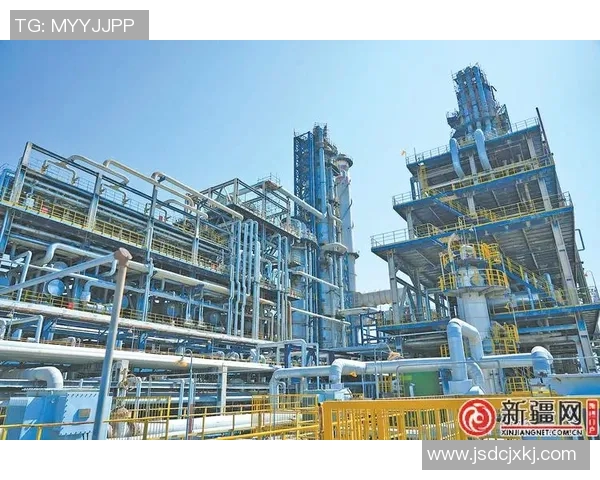 重庆排球队在联合会杯中的蜕变与新篇章探索之路